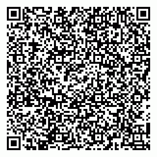 vCard 79141487385