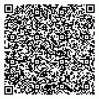 vCard 79141487388