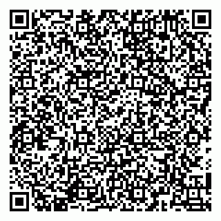 vCard 79141487389