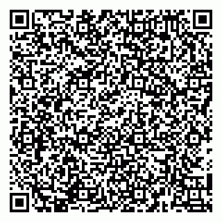 vCard 79141487398