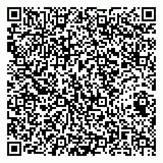 vCard 79141487400