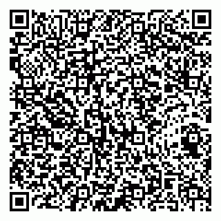 vCard 79141487403