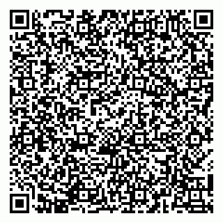 vCard 79141487404