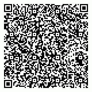 vCard 79141487405