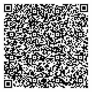 vCard 79141487407