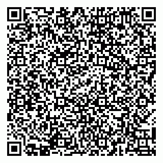 vCard 79141487408
