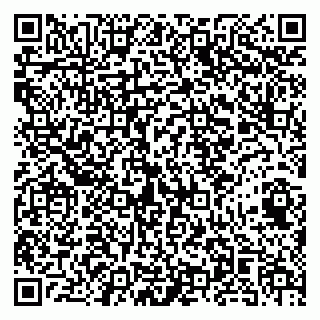 vCard 79141487413