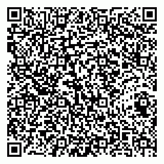 vCard 79141487418