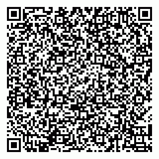 vCard 79141487420