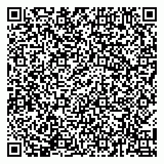 vCard 79141487425