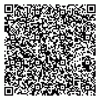vCard 79141487431