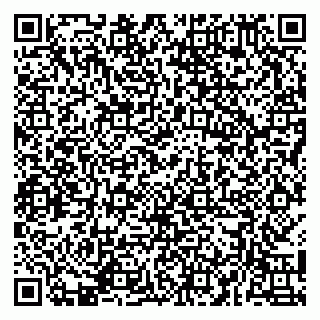 vCard 79141487450
