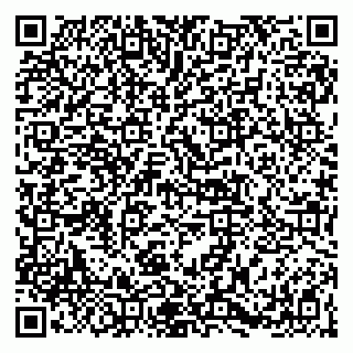 vCard 79141487478