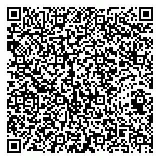 vCard 79141487480