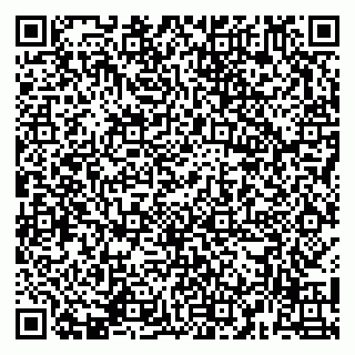 vCard 79141487497