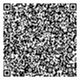 vCard 79141487498