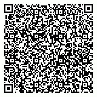 vCard 79141487499