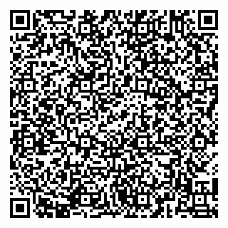 vCard 79141487503