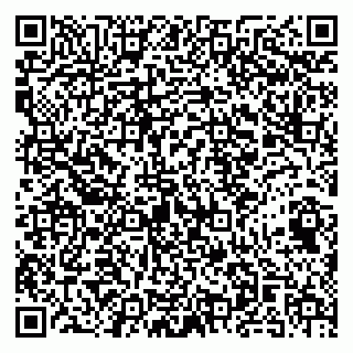 vCard 79141487508