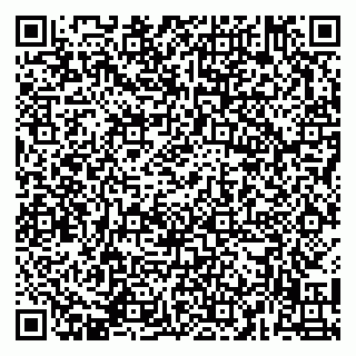vCard 79141487513