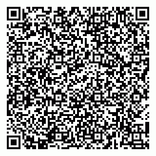 vCard 79141487515