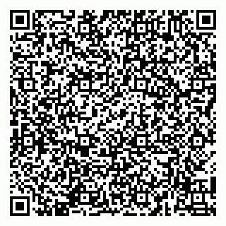 vCard 79141487517