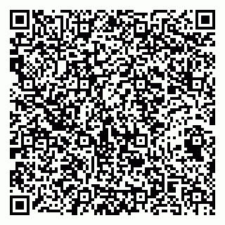 vCard 79141487519