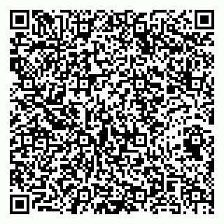 vCard 79141487521