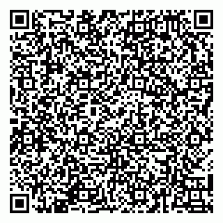 vCard 79141487528