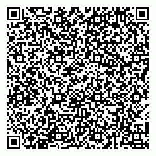 vCard 79141487529