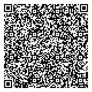 vCard 79141487530