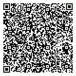 vCard 79141487531