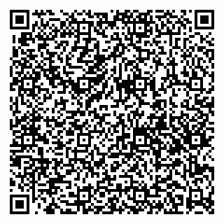vCard 79141487532