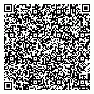 vCard 79141487533