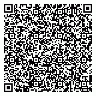 vCard 79141487539