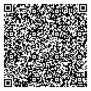 vCard 79141487540