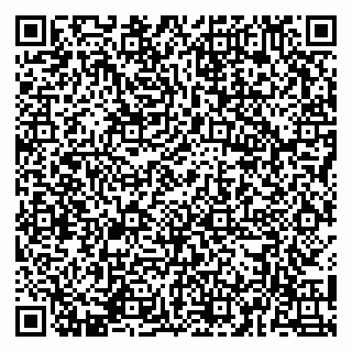 vCard 79141487545