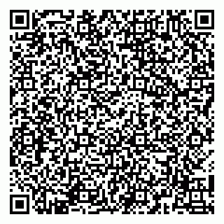 vCard 79141487587