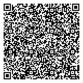 vCard 79141487597