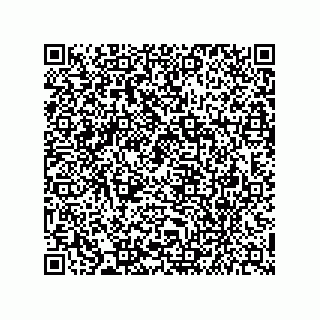 vCard 79142201873