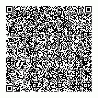 vCard 79145695227
