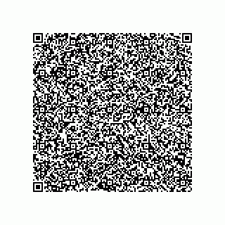 vCard 79145813374