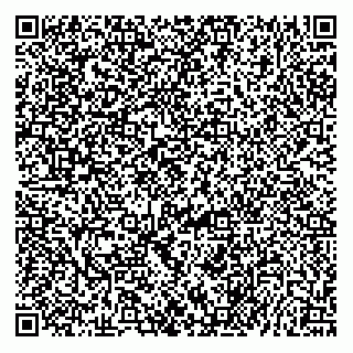 vCard 79147132409