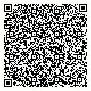 vCard 79150000294