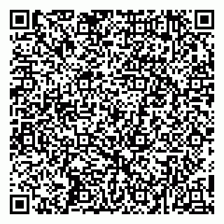 vCard 79150000331