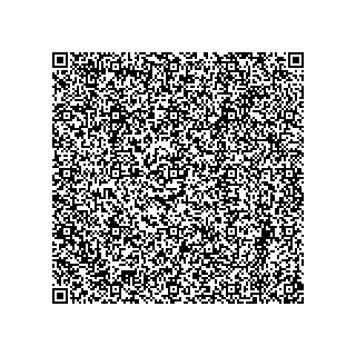 vCard 79153881882