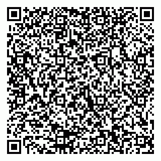 vCard 79155200131