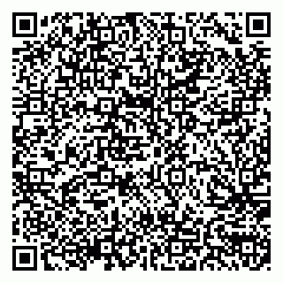 vCard 79155200211
