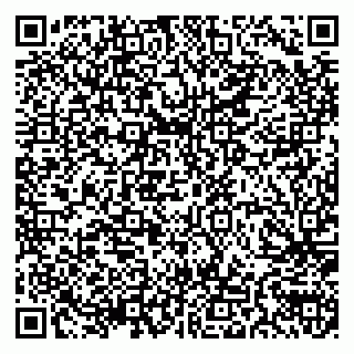 vCard 79155200217