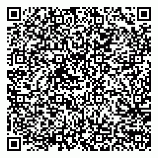 vCard 79155200231